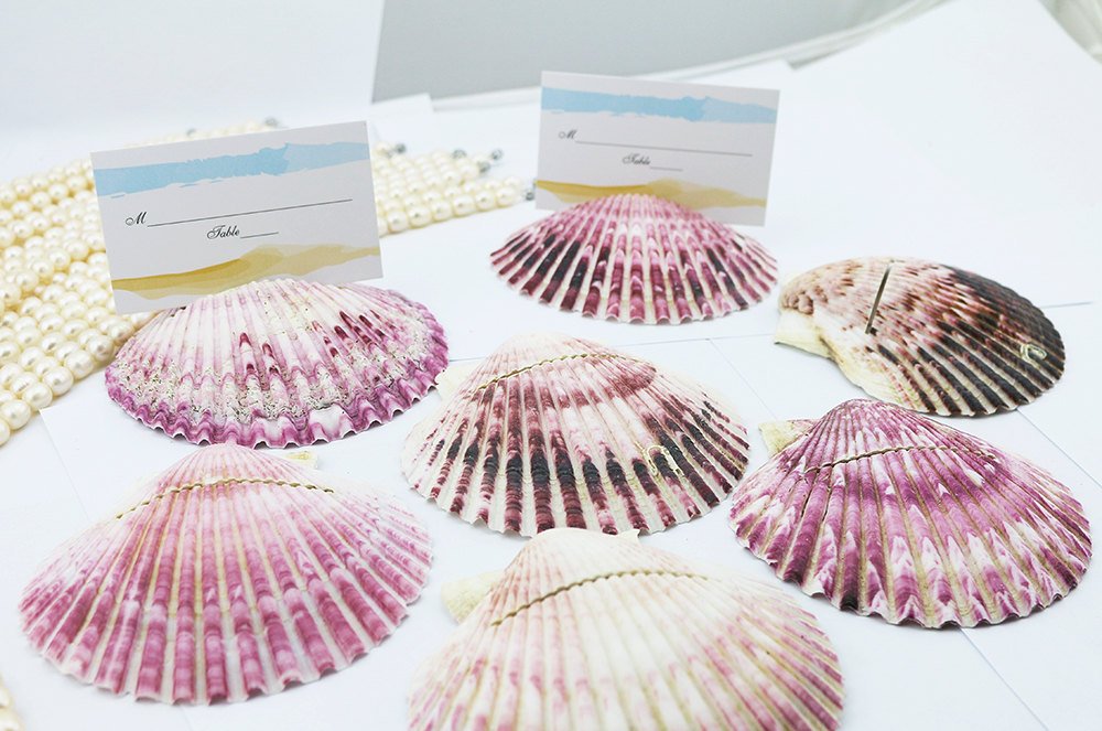 Set of 10 Beach Wedding Shell Card Holders for Your Beach Dinner Party Table Wedding Favor Wedding Table Number Card Wedding Decoration