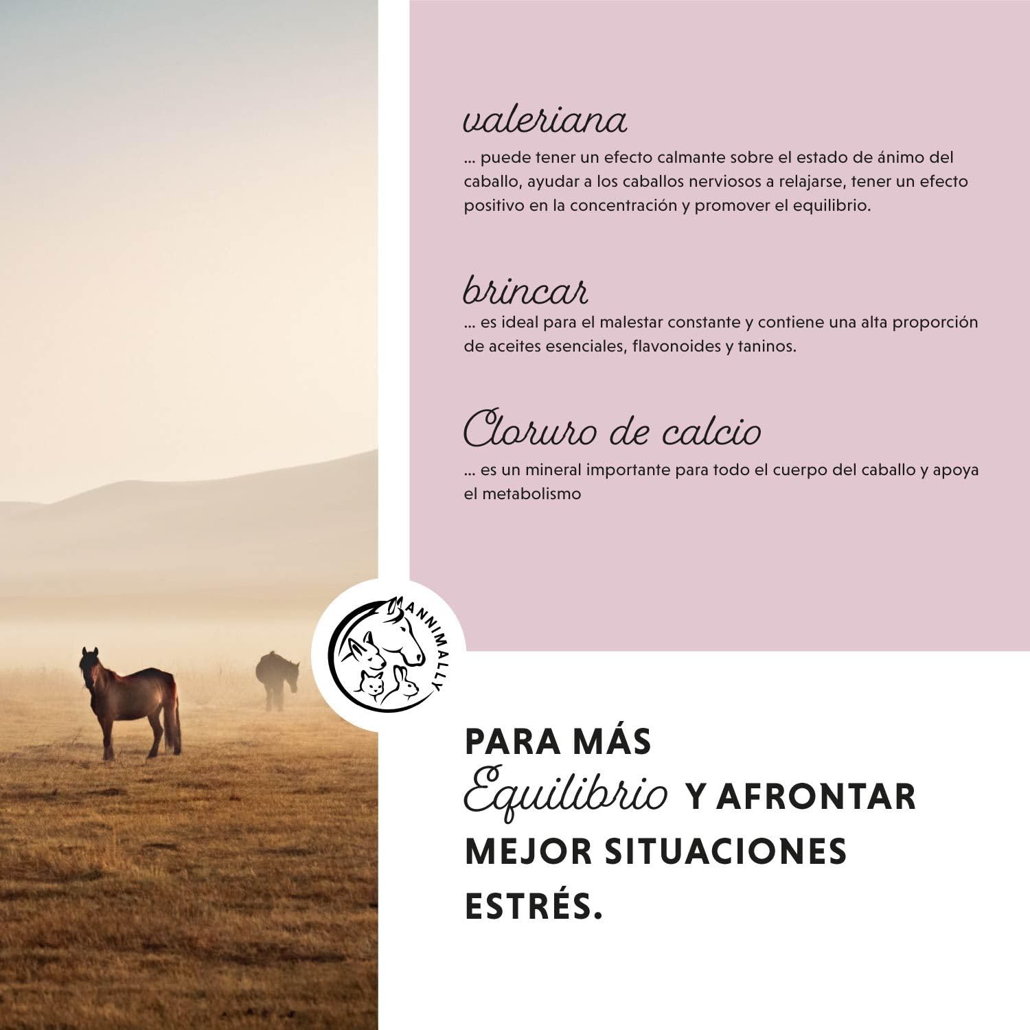 Annimally Relax Liquid para Caballos 1000ml, Jarabe calmante para Caballos con valeriana, lúpulo, triptófano, B12, magnesio y Calcio líquido - contra la ansiedad, el estrés y para el Transporte