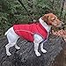 Gooby - Sports Vest, Fleece Lined Small Dog Cold Weather Jacket Coat Sweater with Reflective Lining, Blue, Large