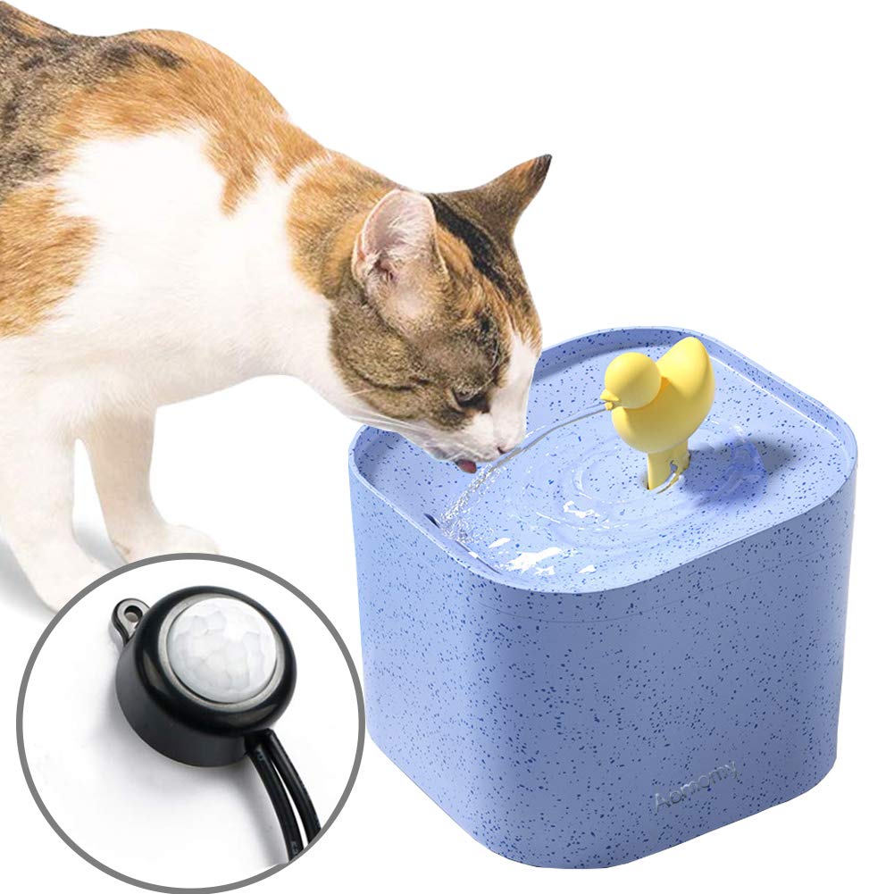 are elevated food bowls good for cats Elevated Tilted Ceramic Food Bowl – Rawry