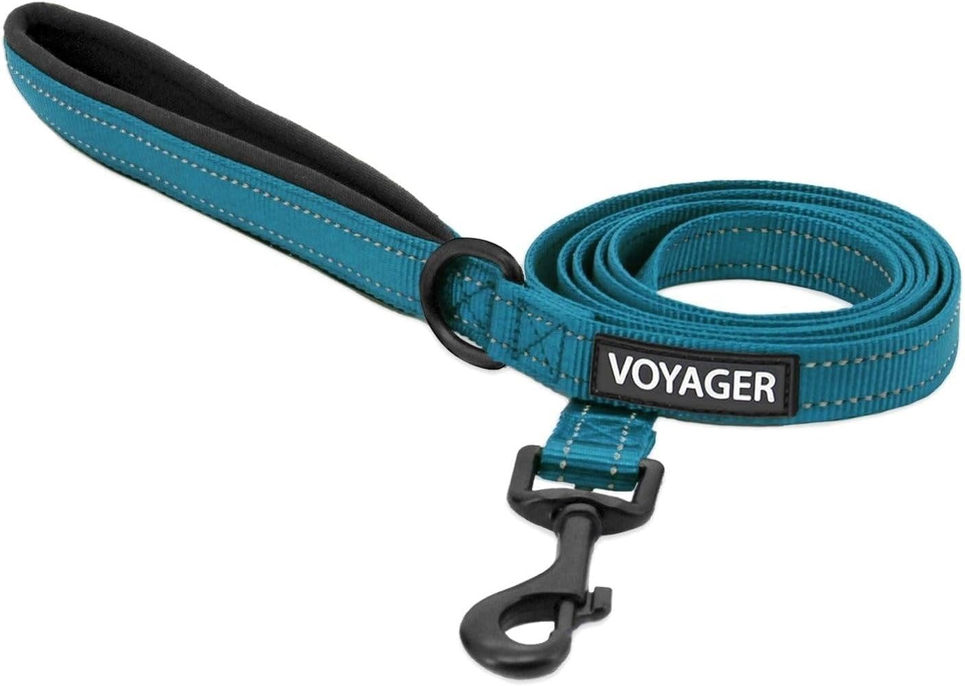 Best Pet Supplies Voyager Nylon Dog Leash - Turquoise, Large