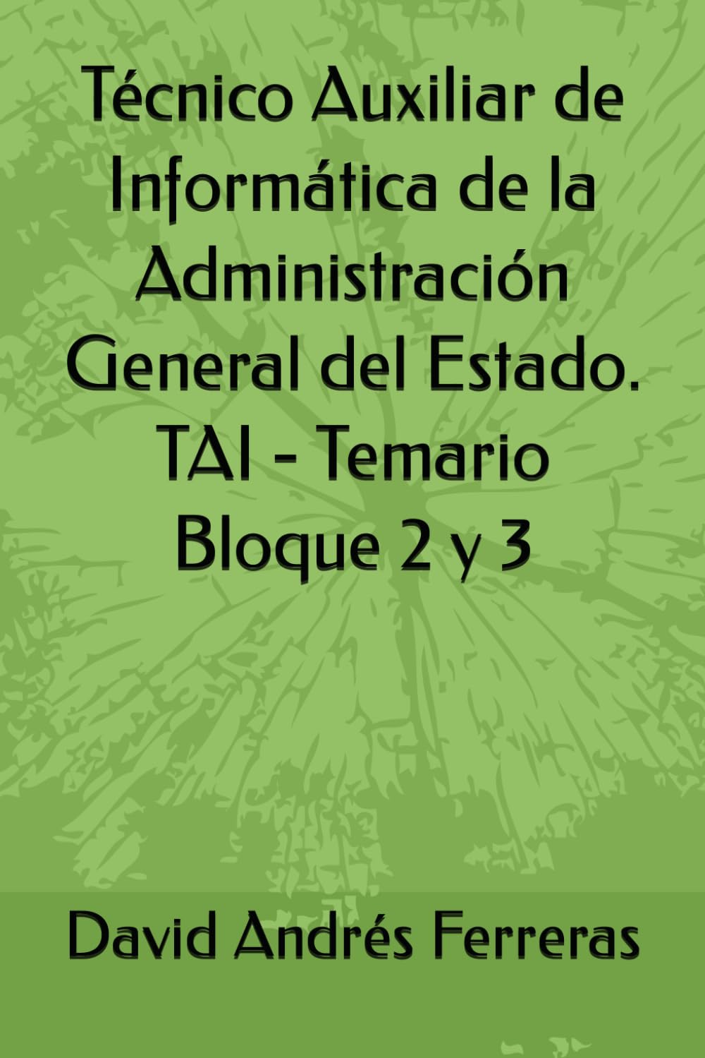 Técnico Auxiliar de Informática de la Administración General del Estado. TAI - Temario Bloque 2 y 3