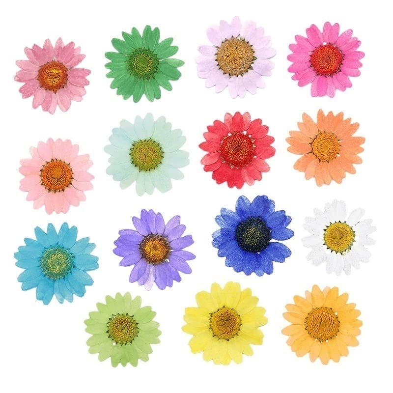 Flores secas prensadas para manualidades 120 pcs miniatura 2