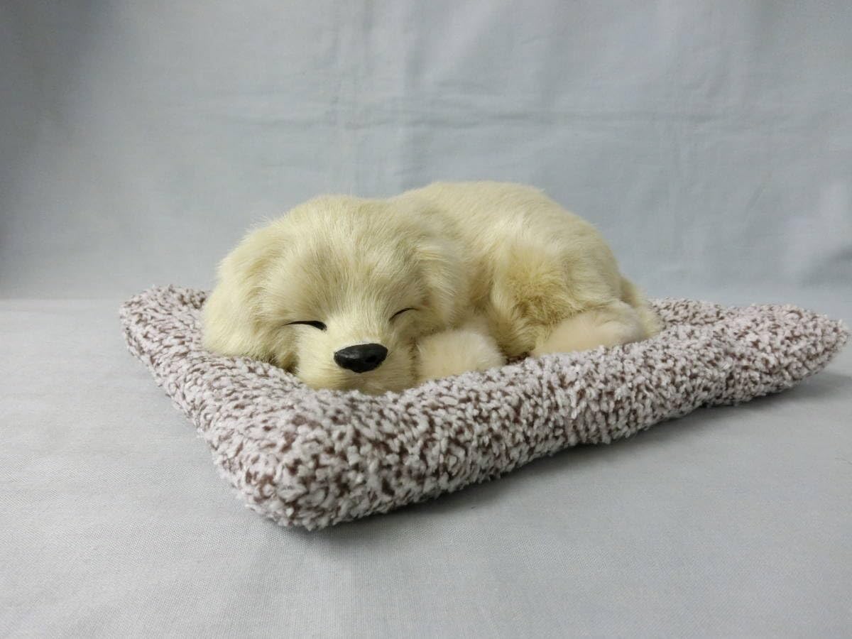 Amazon.co.jp: 『すやすやリアル 犬 ぬいぐるみ・座布団：縦約26cm