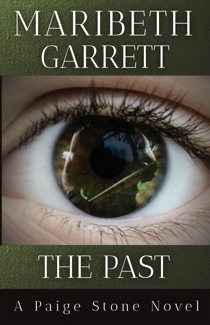 Buy The Past: 2 (Paige Stone Mysteries) — BookShops.in