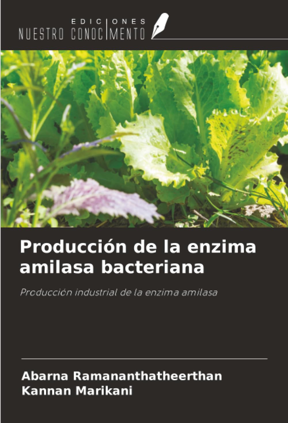 Producción de la enzima amilasa bacteriana: Producción industrial de la enzima amilasa