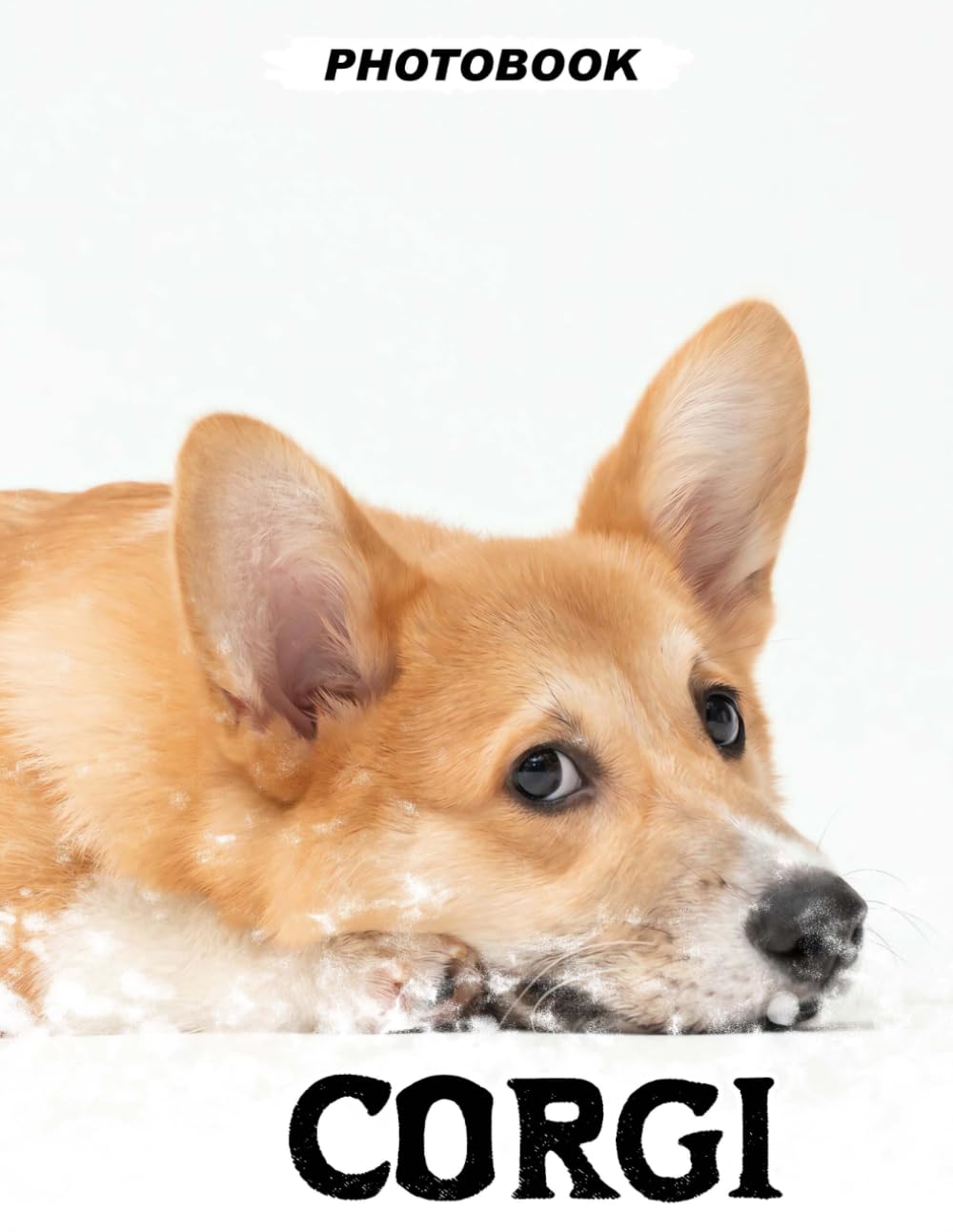 Corgi Photo Book: Adorable Short Legs And Big Ears Captured In 40 Playful Images Of Corgis Showcasing Their Loyal and Loving Nature In Charming Dog Photography