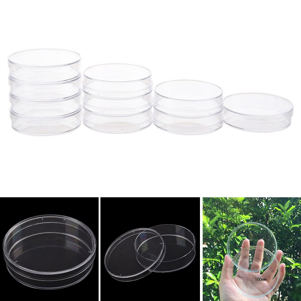Buy Plastic Petri Dish, Laboratory Cell Tissue Culture Petri Dish with
