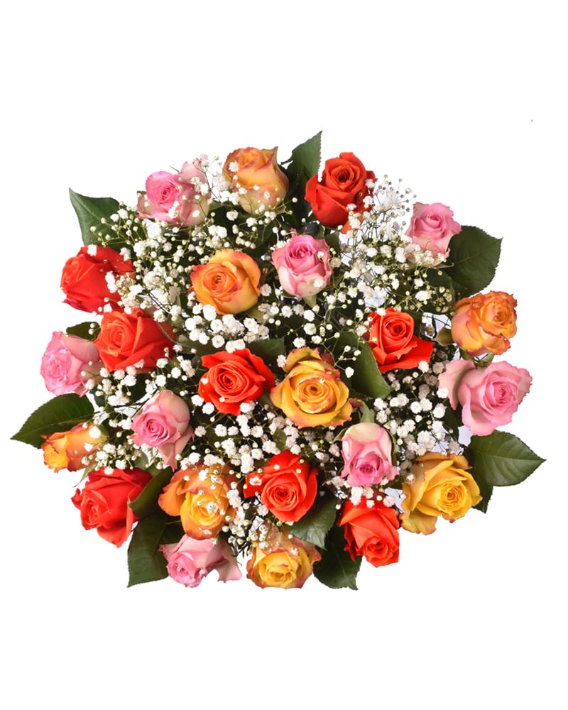 Floral Compass Rainbow Brights Rose Bouquet