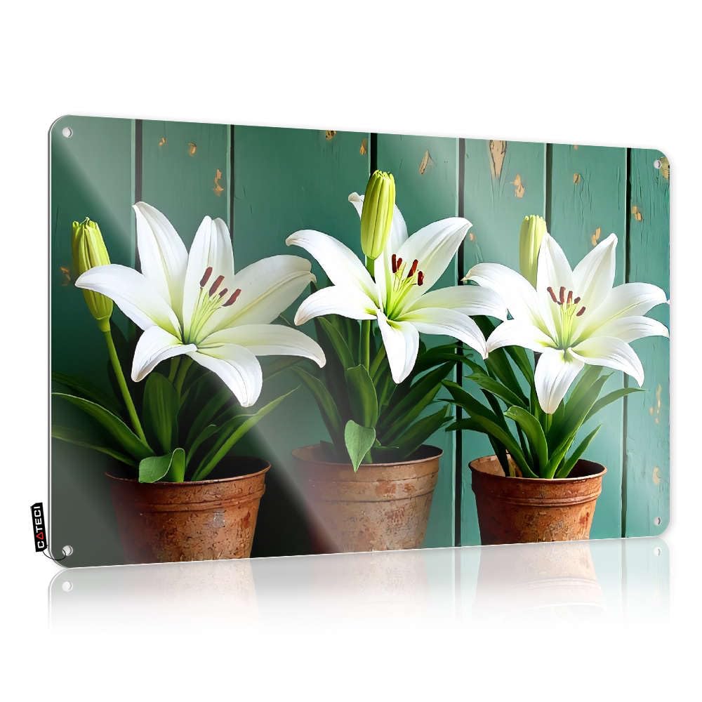 Vintage Wall Art Gorgeous Vintage Wall Art, Painting Retro Things Tin Sign For Home Bar | 8x12 Inch Three White Lilies In Rustic Pots. Perfect For Bedroom Decor(30X40CM)