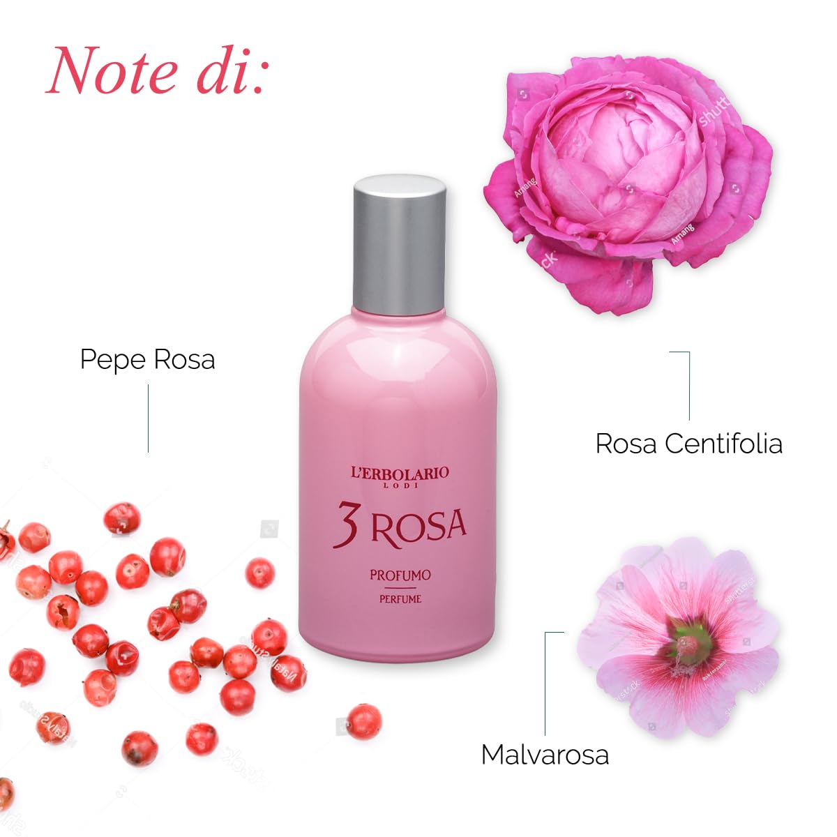 Lerbolario Rosa Romantic And Feminine Fragrance For Every Woman