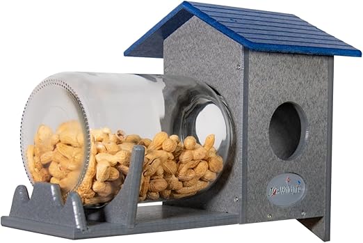 JCs Wildlife Squirrel Under Glass Mason Jar Peanut and Loose Corn Squirrel Feeder - Keep Squirrels Out of Bird Feeders