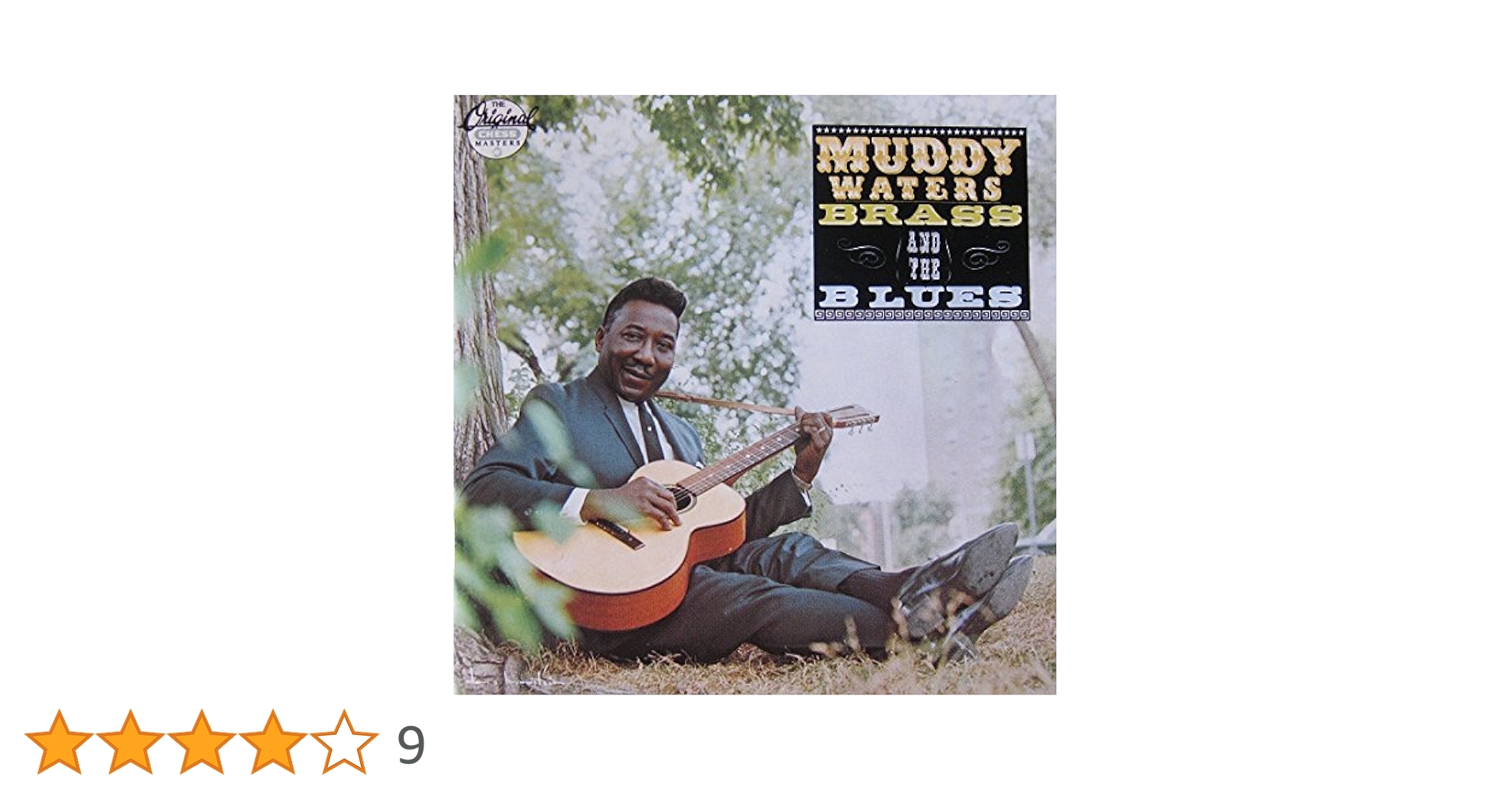 ◾️ブルース傑作■オリジナル盤◾️MUDDY WATERS■マディーウォーターズ■S MUDDY WATERS / The Best Of Muddy Waters (LP) / Chess