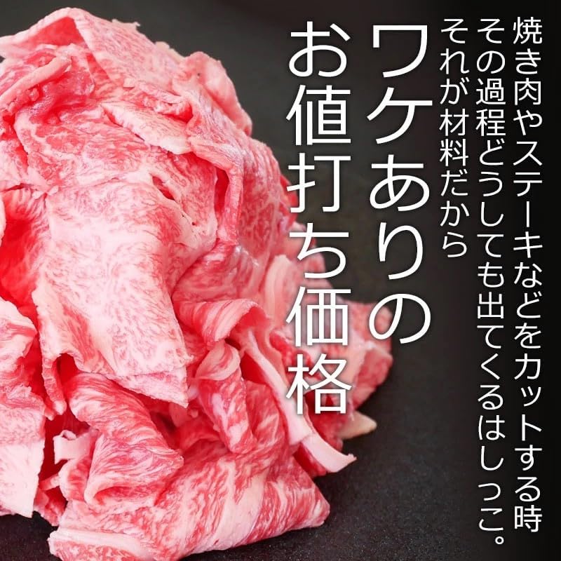 飛騨牛 切り落とし肉 (500g（250g×2パック）) 国産 牛 冷凍 お試し 牛肉 切り落とし 訳あり 【野坂】 牛丼 す
