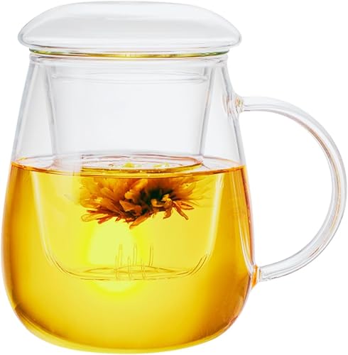 Taza de té de vidrio con infusor y tapa, taza con colador extraíble y tapa para té de hojas sueltas, taza de vidrio de borosilicato para té