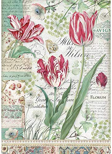 STAMPERIA INTERNATIONAL, KFT RICE PAPER PACK A4 RED TULIP, One Size