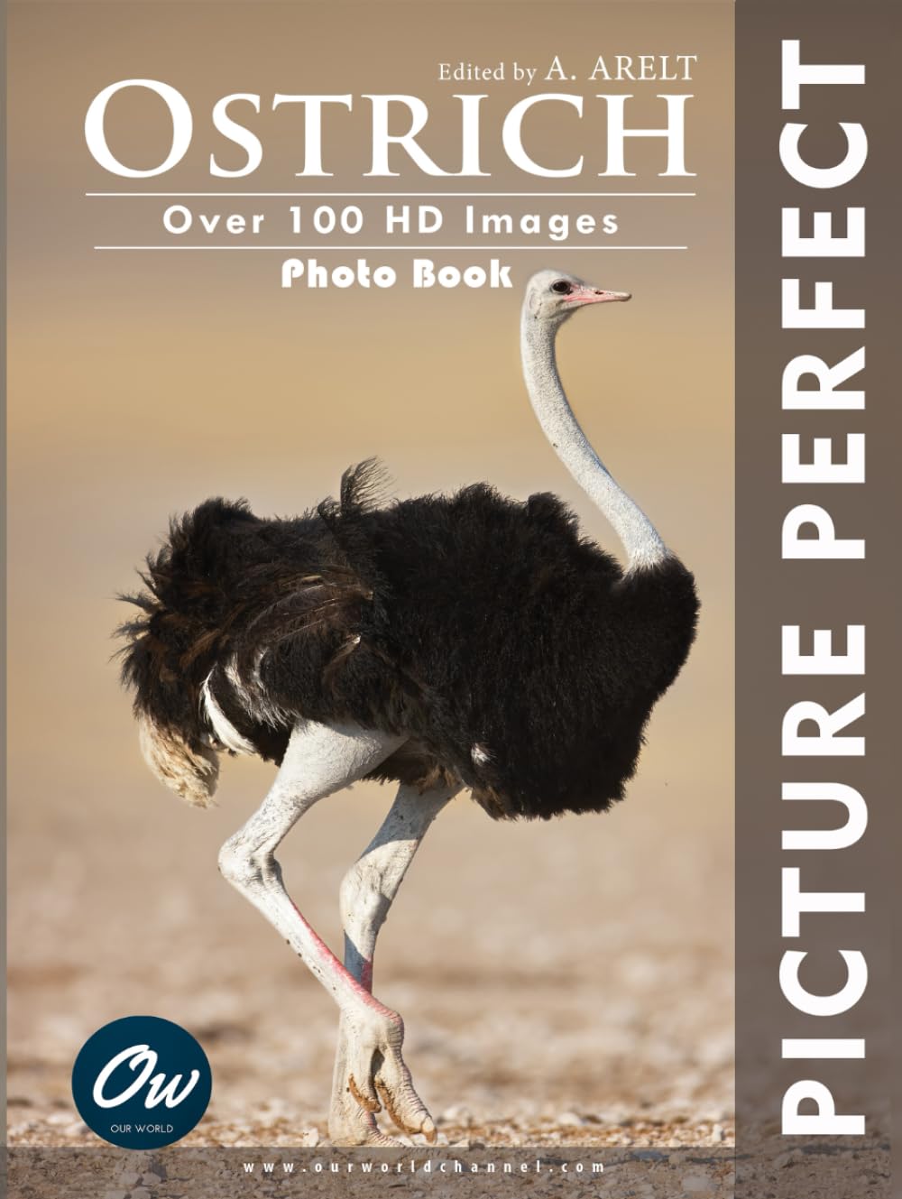 Ostrich: Picture Perfect Photo Book