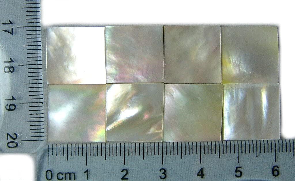 Yuan's 25 Pcs 1.5cm(0.59'') Square White Sea Mother of Pearl MOP Shell. One or Two Side Polished. (1.5cm(0.59''') Square x25 pcs, White Mother of Pearl)