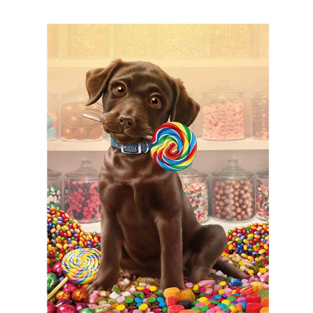 Broderie diamant 5d candy et chien pour décorer votre salon ou votre chambre