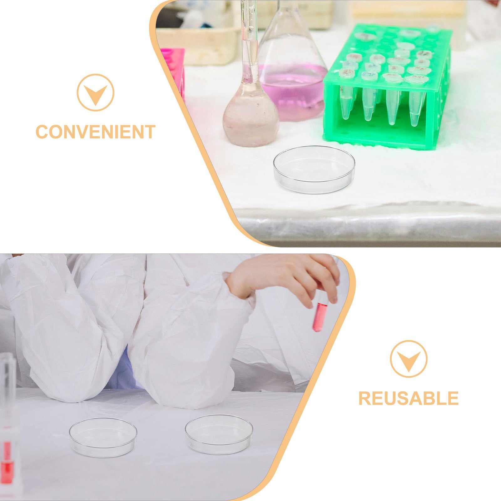 5 piastre di Petri in vetro con coperchio: piastra di coltura da laboratorio ispessita da 90 mm, piastra vuota trasparente per terreno agarizzato - contenitore per esperimenti di chimica dei