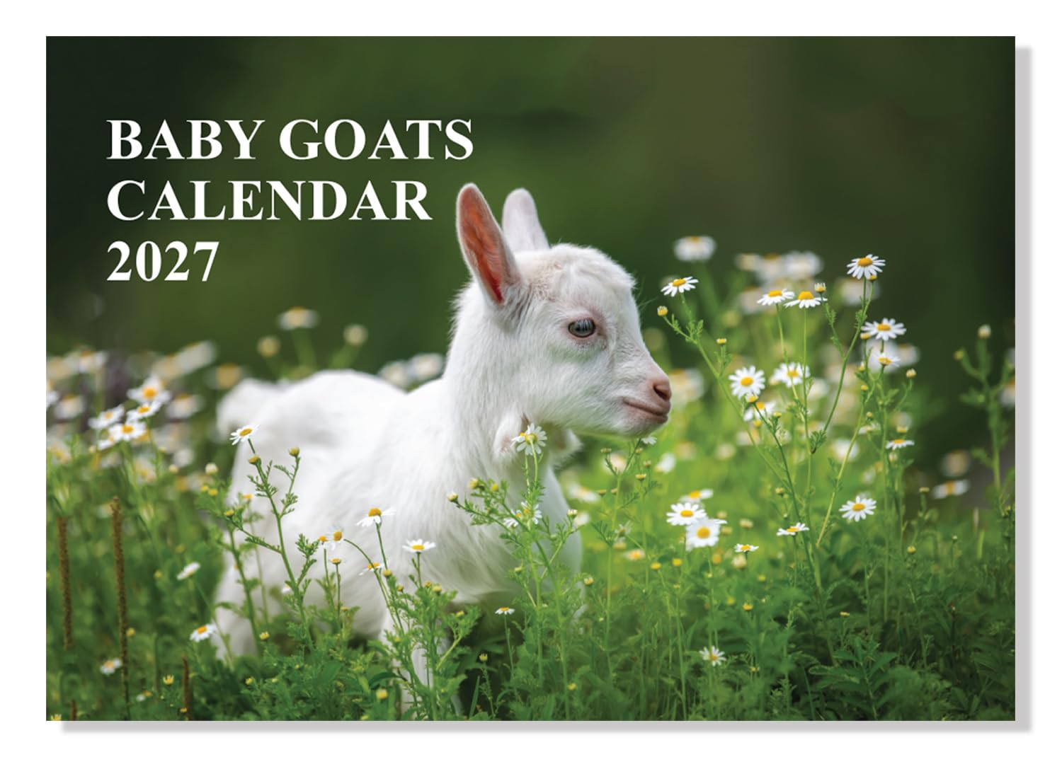 A4 Baby Goat Calendar 2027 12 Month Wall Calendar 2027 A3 When Open Family Calendar 2027 Month to View Papa Prints