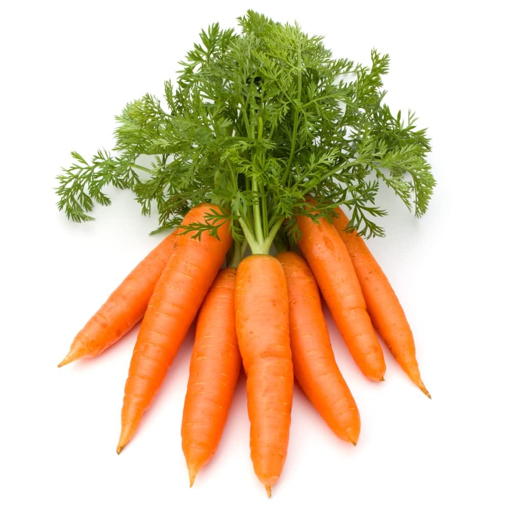 Carrot Plants, Pick and Mix Selection, 12 x Full Plant Pack, Vegetable Plants, Carrots, 24+ Individual Seedlings per Pack, Garden Veg, Garden Ready and Ready to Plant, Premium Quality Vegetables