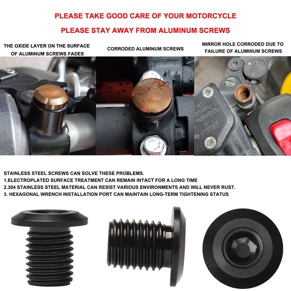 my様 Titanium Banjo Bolt Double M10x(1.25mm) Race Spec Rear Brake