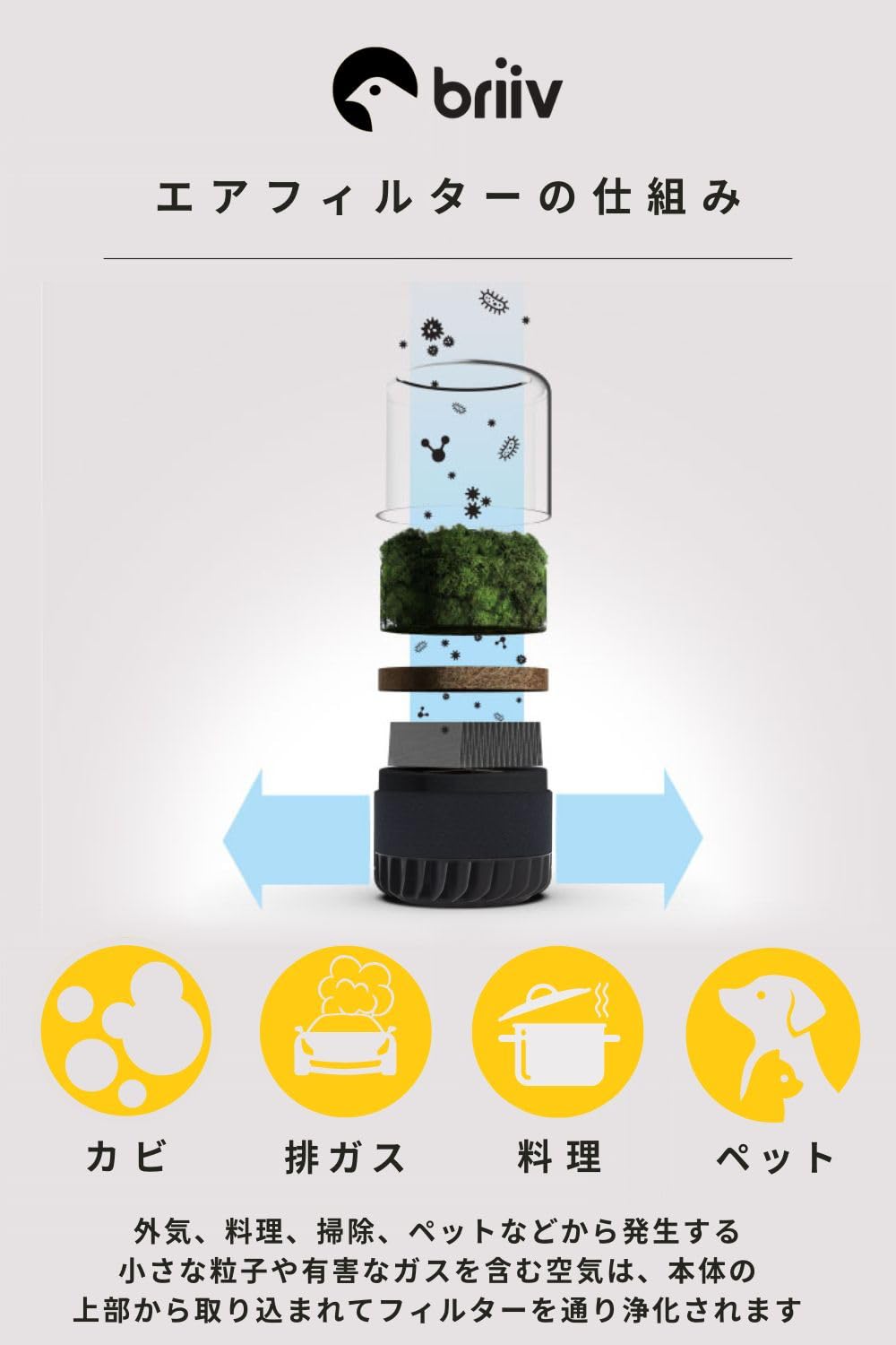 Amazon.co.jp: BRIIV 2 (ブリーヴ) 英国発の自然派エコ空気清浄機 コケ