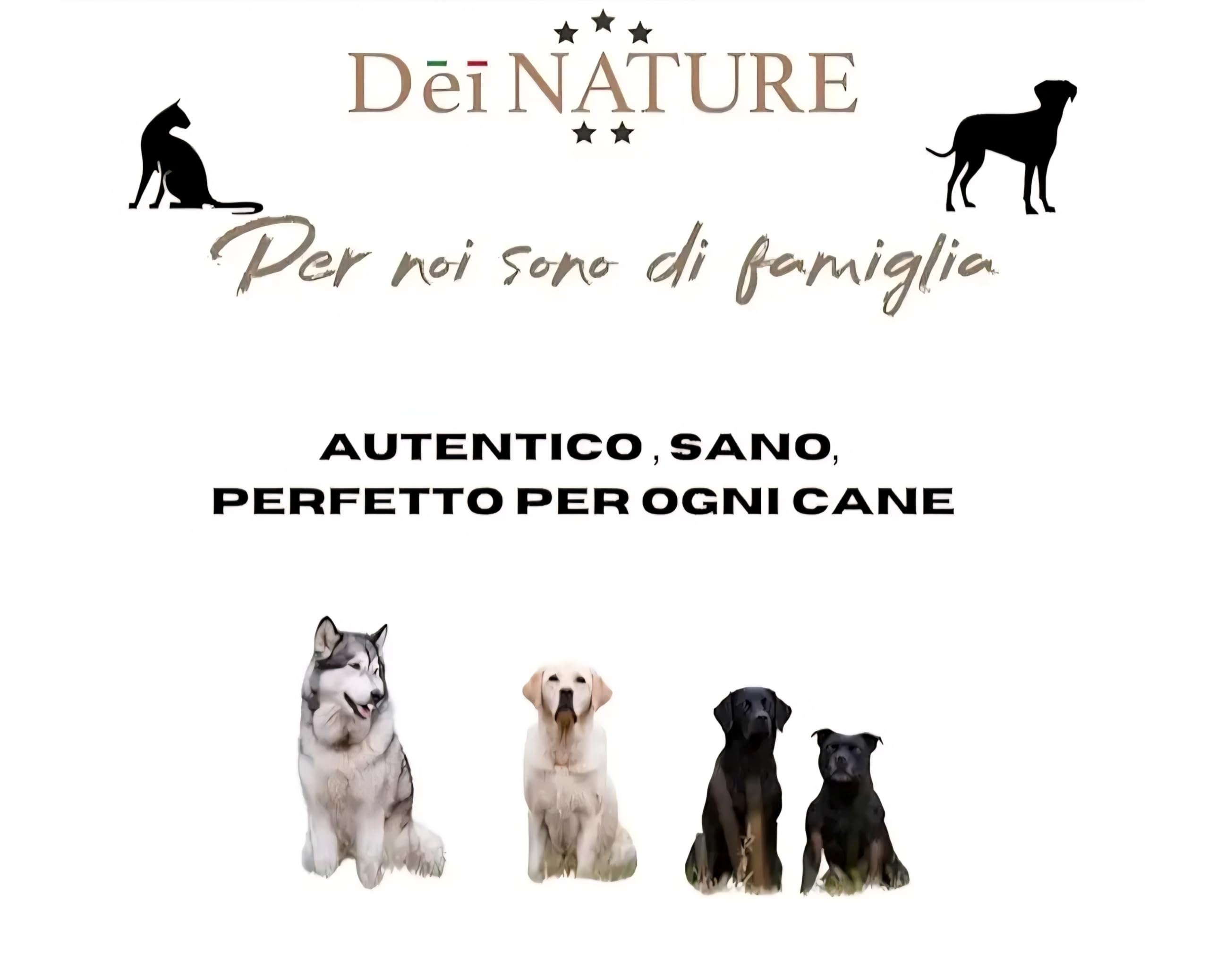 Legno di Ulivo per Cani, Masticativo Naturale, 2 UNITA' Taglia S,Bastoncino Antitartaro per Pulizia Denti
