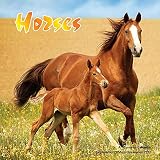 Horse Calendar - 2017 Wall Calendars - Calendar 2016 - Animal Calendar - Monthly Wall Calendar by Magnum