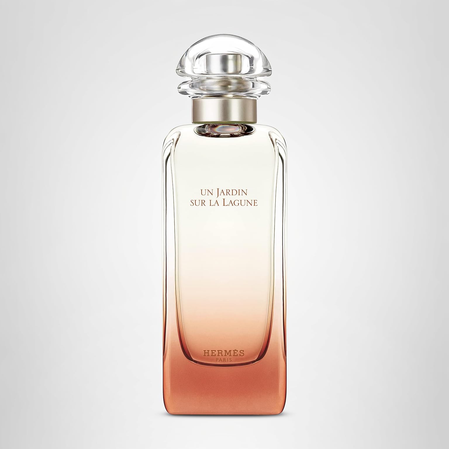 Amazon | エルメス ラグーナの庭 EDT SP 100ml [並行輸入品] | HERMES