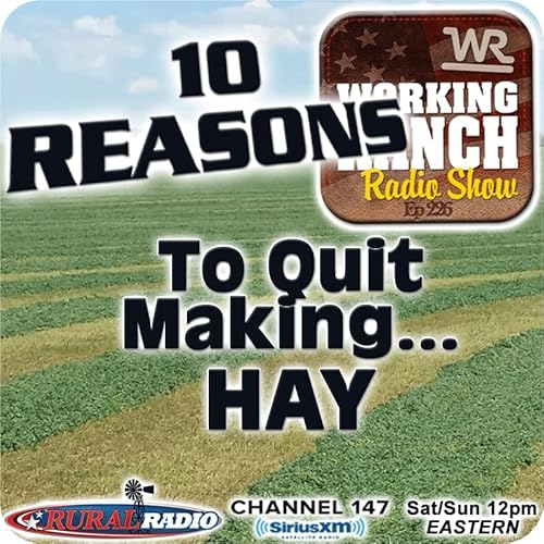Ep 226: Ten Reasons You Should Quit Making Hay Podcast Por arte de portada
