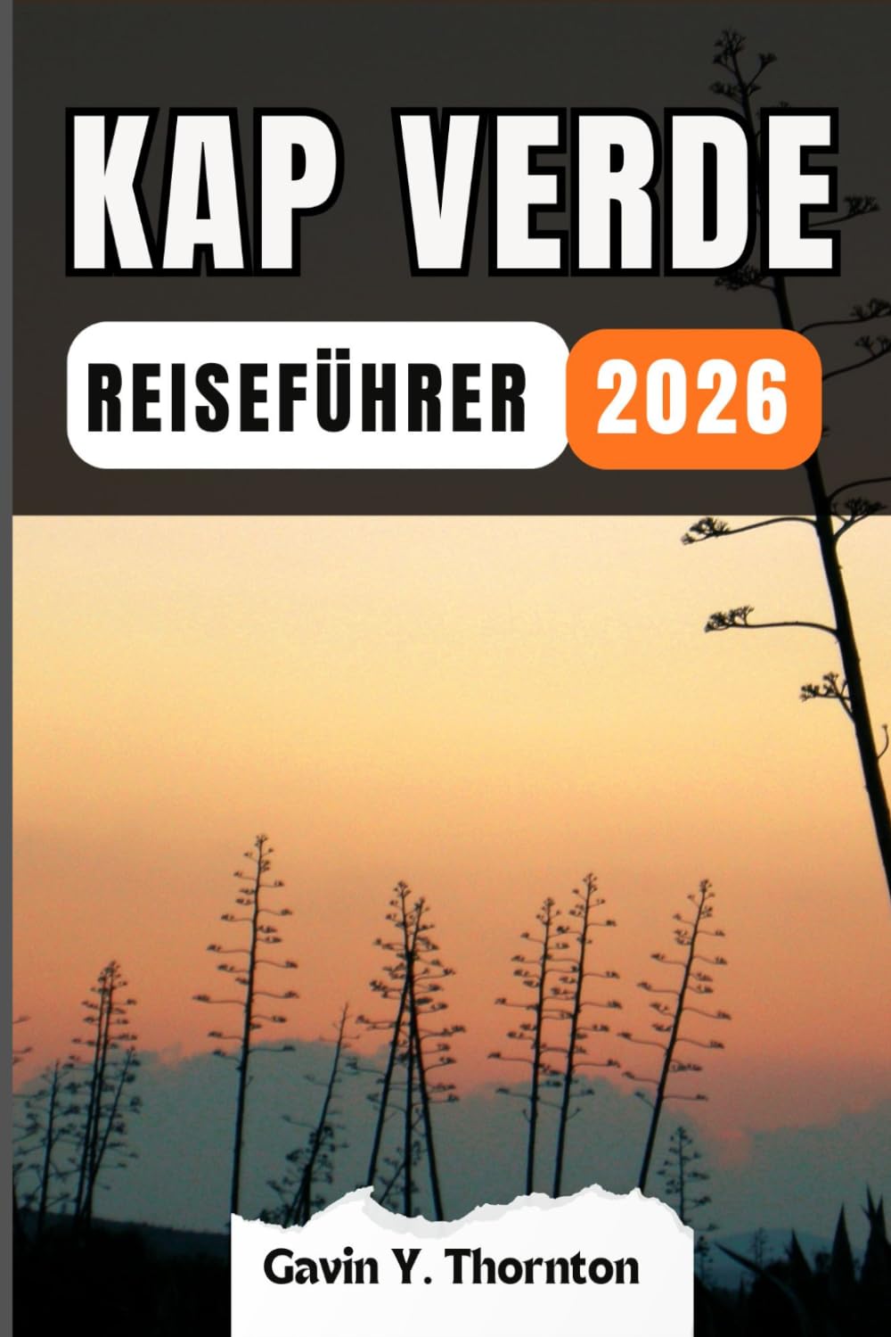 KAP VERDE REISEFÜHRER: Erleben Sie die Wunder dieses Reiseziels mit diesem Reiseführer, mit Tipps und kulturellen Einblicken, um ein unvergessliches Reiseerlebnis zu gewährleisten.