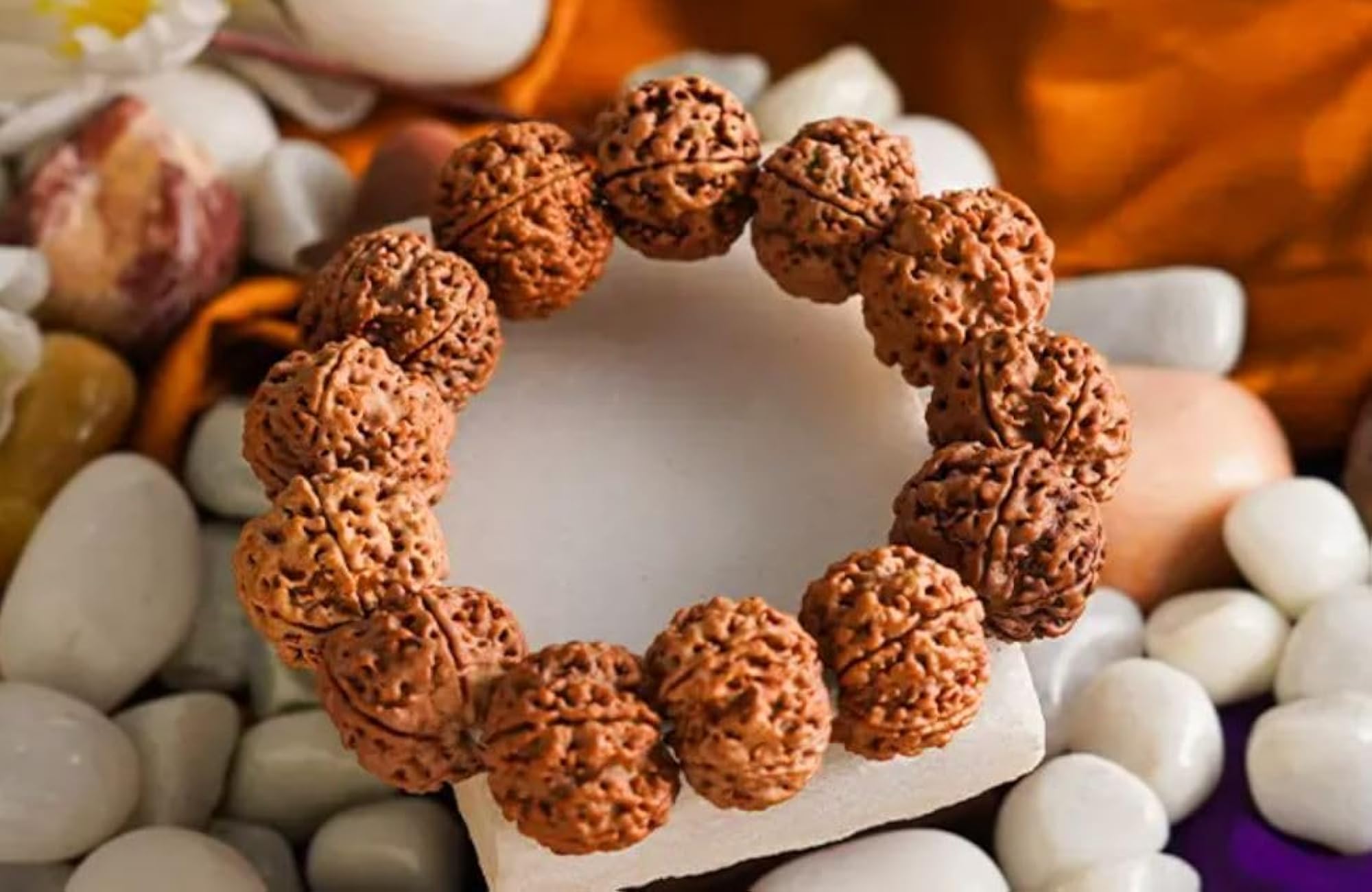 Unisex 7 Mukhi Rudraksha Adjustable Bracelet