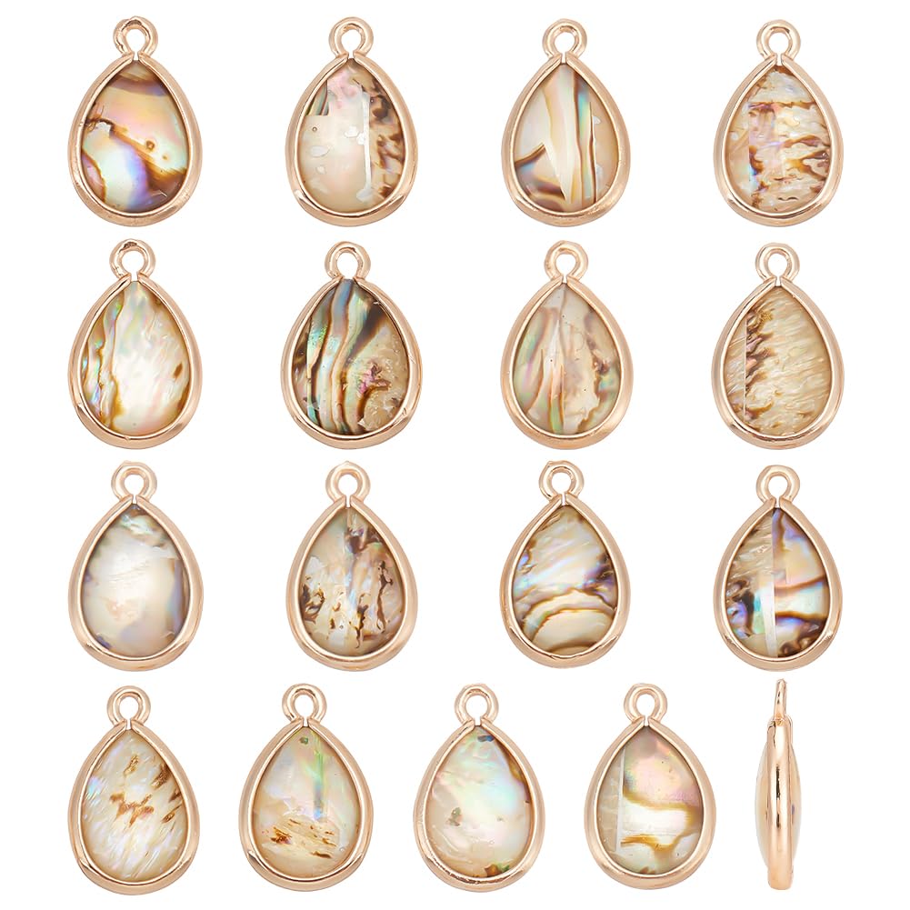 BENECREATAbalone Shell Charms, Paua Shell Pendant Shell Charms for Jewelry Making