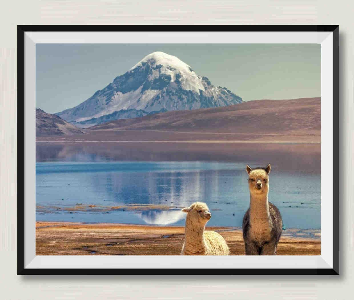 Due alpaca sotto la montagna innevata - Puzzle in legno da 1500 pezzi - Apprendimento dei giocattoli educativi per ragazzi e ragazze