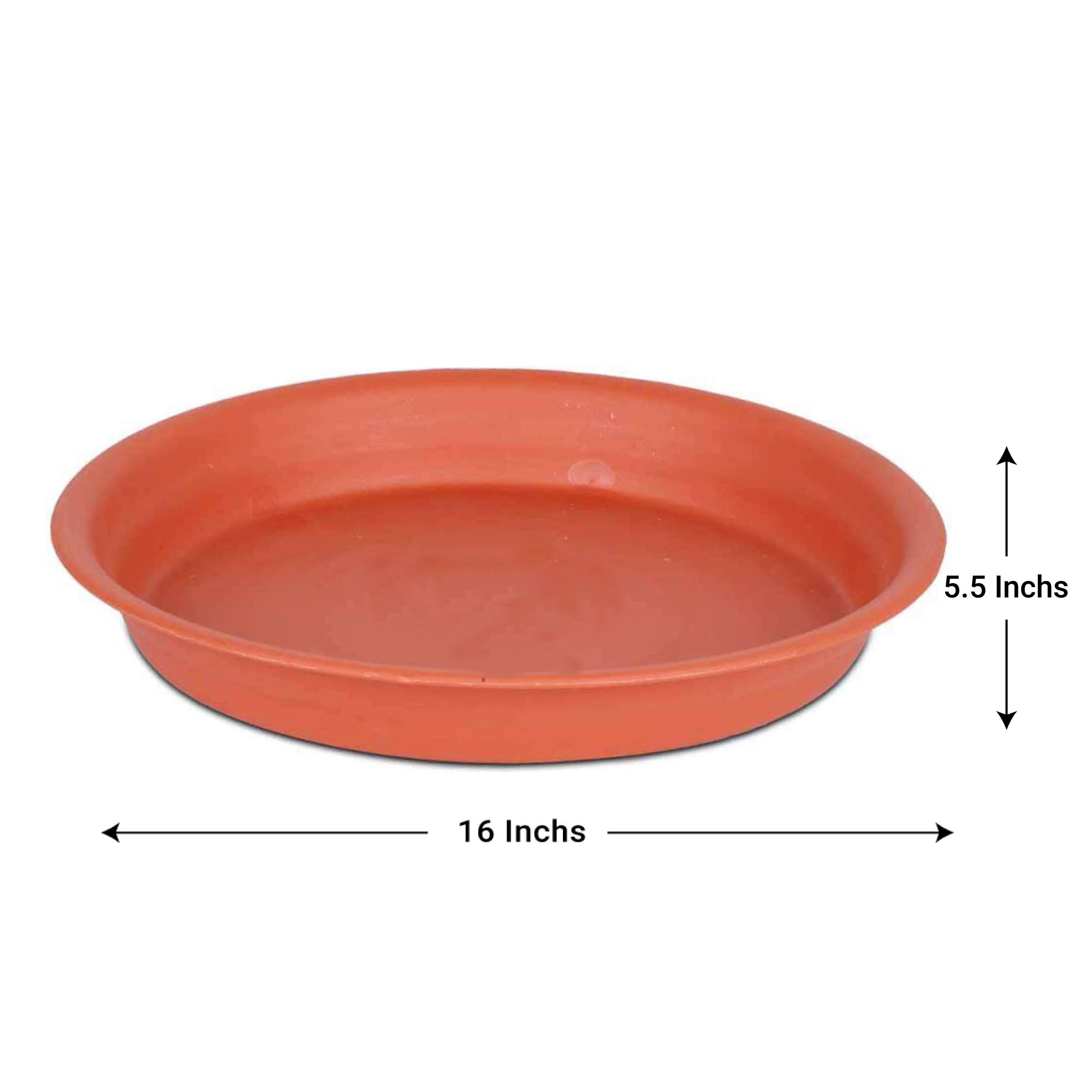 TrustBasket Uv Treated, 16 Inch Bottom Tray(Plates/Saucer 