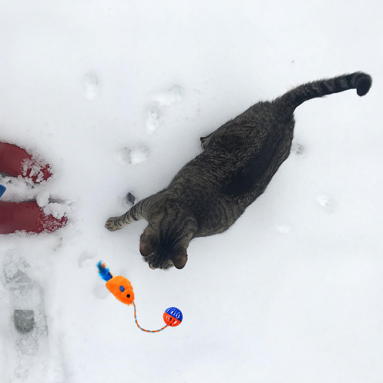 Chaton Interactif en Peluche et Plastique avec Clochette, D'entraînement pour Chat pour Intérieur, Soulagement de L'ennui et Exercice