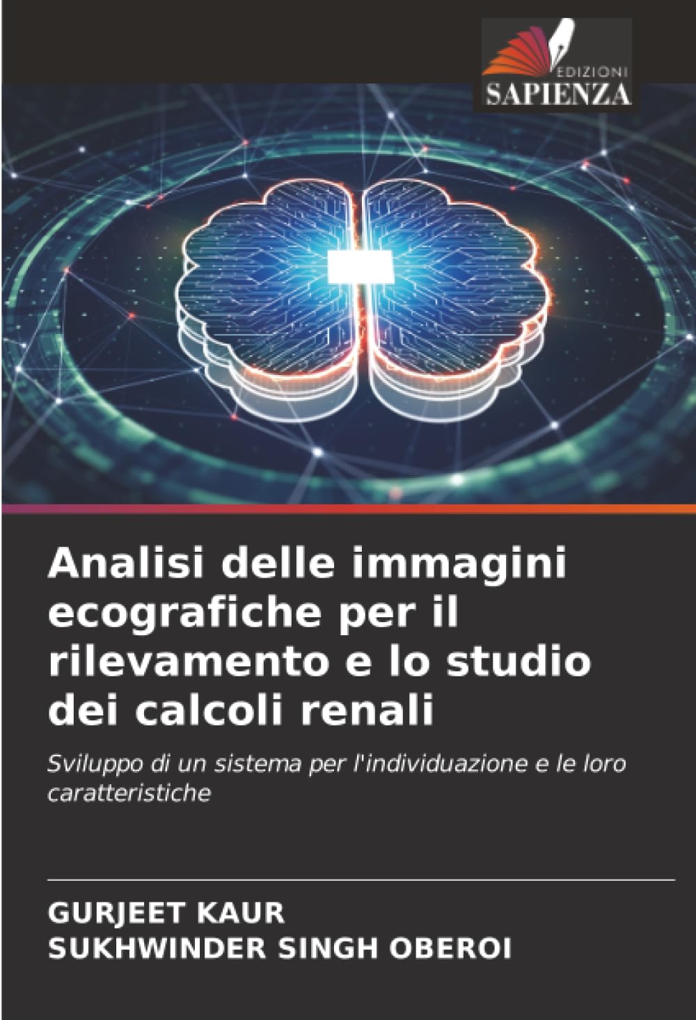 Analisi delle immagini ecografiche per il rilevamento e lo studio dei calcoli renali: Sviluppo di un sistema per l'individuazione e le loro caratteristiche