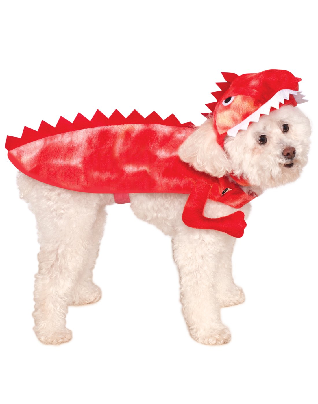 Costume Raptor Dinosaure pour fêter Halloween en famille avec votre chien