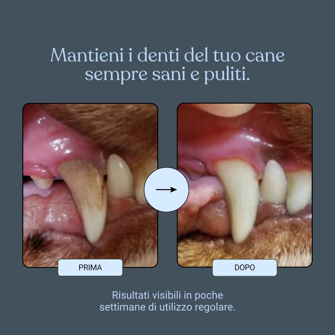 Bau Controllo Placca e Tartaro Cane in Polvere con Alga Ascophyllum Nodosum, Propoli e Menta, Mangime Complementare per Igiene Orale Senza Spazzolino, Alito Fresco e Gengive Sane del Cane