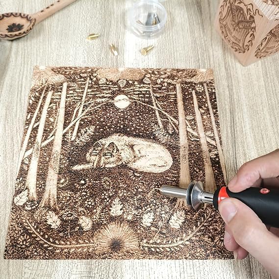 Image of Generic Professional 30W 220V Wood Burning Pen Soldering Set Pyrography Tool Kit