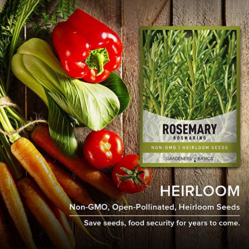Rosemary-Seeds-for-Planting-It-is-A-Great-Heirloom-Non-GMO-Herb-Variety-Great-for-Indoor-and-Outdoor-Gardening-by-Gardeners-Basics Rosemary-Seeds-for-Planting-It-is-A-Great-Heirloom-Non-GMO-Herb-Variety-Great-for-Indoor-and-Outdoor-Gardening-by-Gardeners-Basics
