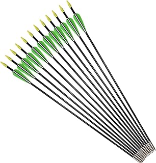 Fiberglass Practice Arrows Archery 24/26/28/30 Inch Target Shooting Safety Recurve Bows Suitable for Youth Children Woman Beginner 6/12 PCS - Buy now