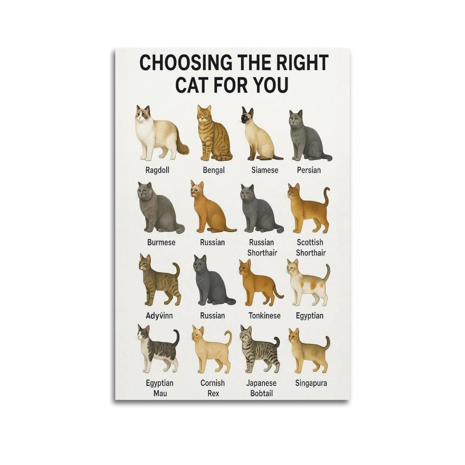 ESTE Cute Animal Poster Breeds of Cats Artwork Decorative Painting Canvas Modern Art Picture 24x36inch(60x90cm)