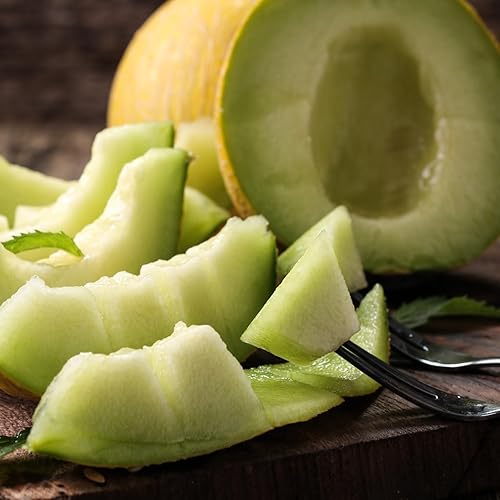 Miniatura 4 de Tuscany Candle Hawaiian Breeze - Vela perfumada en tarro de larga duración, 18 onzas