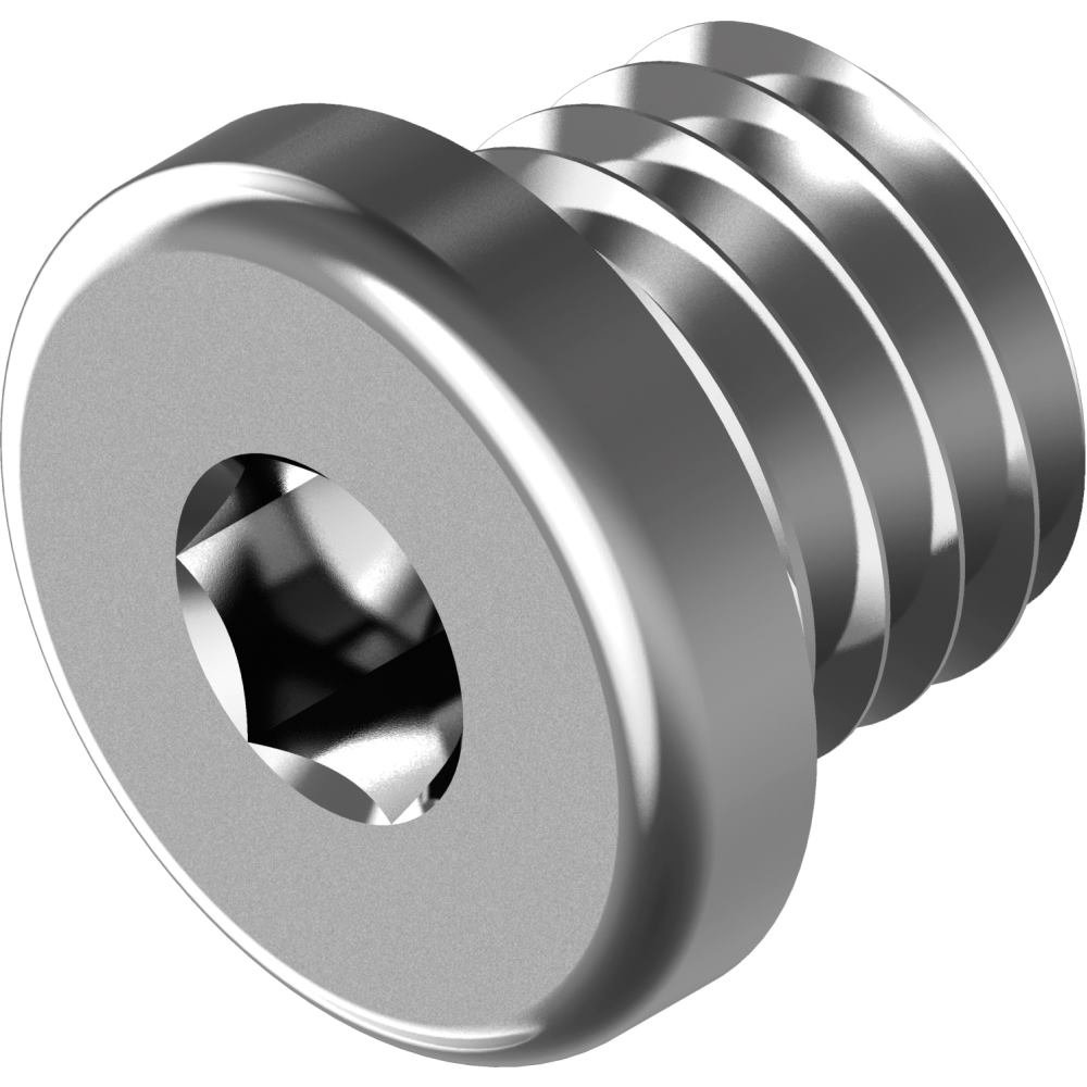 Vis tête cylindrique M22x1,5 DIN 908 iSK en acier inox A4 pour haute pression industrielle