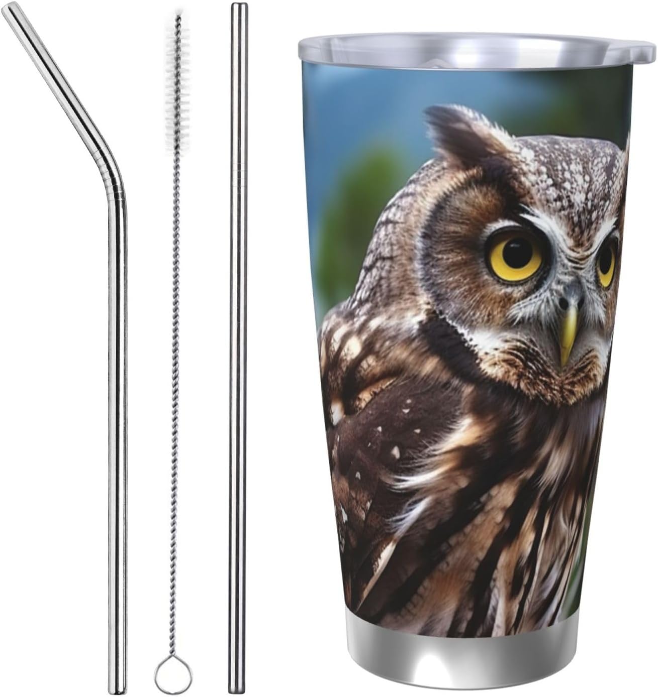 Insulated Tumbler With Lid And Straw 20 Oz,Stainless Steel Travel Coffee Mug Double Wall Tea Cup Wild Owl Birds Leakproof Water Bottle Gifts For Women Men