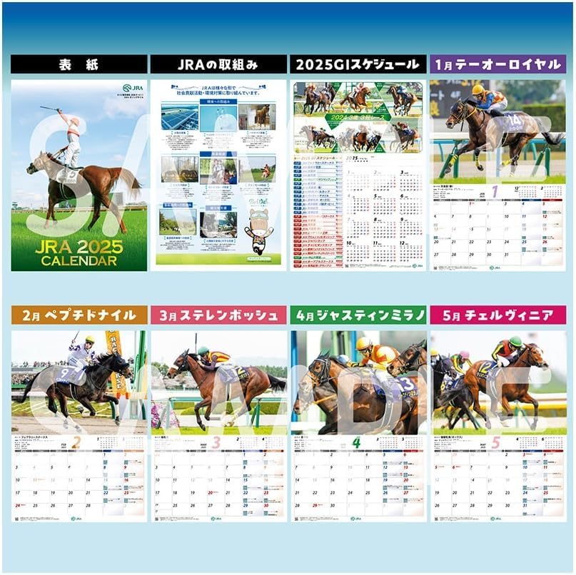 Amazon | JRA カレンダー 2025年 令和7年版 中央競馬全開催日程