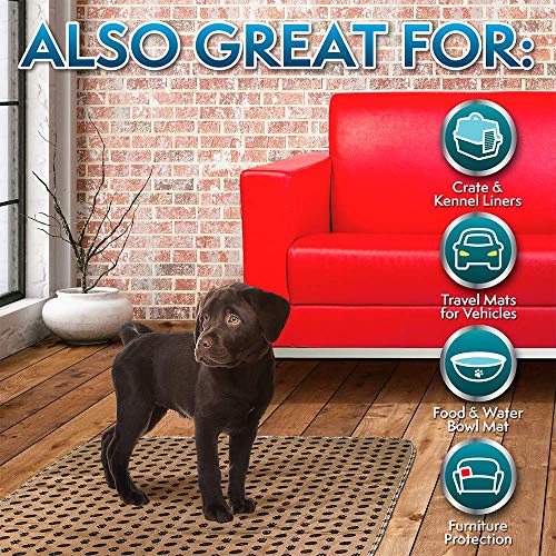 Simple Solution Large Washable Puppy Pad | Reusable Dog Pee Pad | Absorbent And Odor Controlling | 30X32 Inches, 2 Count, Black & Beige #TOP5
